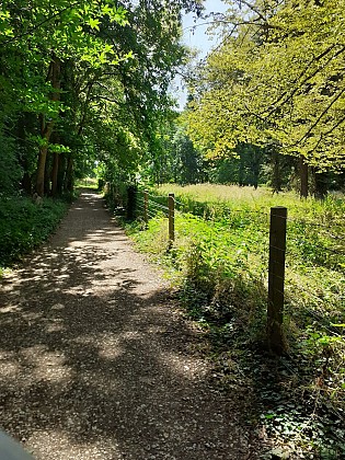 Sentier du parc de Gourdez et bois de Morancez