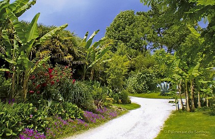 D'Aignan vers la Palmeraie du Sarthou et l'étang du Moura
