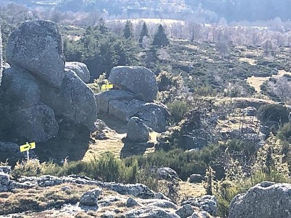 Autour du Truc de Randon - Trail n°11