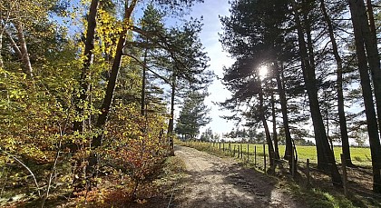 Bosselettes autour de Châteauneuf-de-Randon- Trail n°21