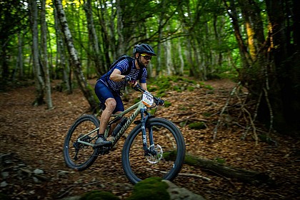 N°76 - Les jonquilles - Circuit Enduro - Espace VTT-FFC Massif des Bois Noirs