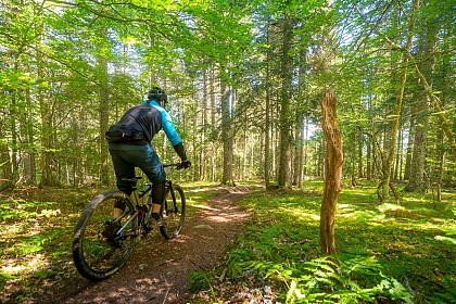 N°77 - La couzanaise - Circuit Enduro - Espace VTT-FFC Massif des Bois Noirs