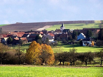 Balade sonore - Découverte de Buswiller