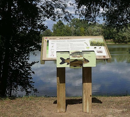 Sentier d'interprétation du Bois de l'Ile