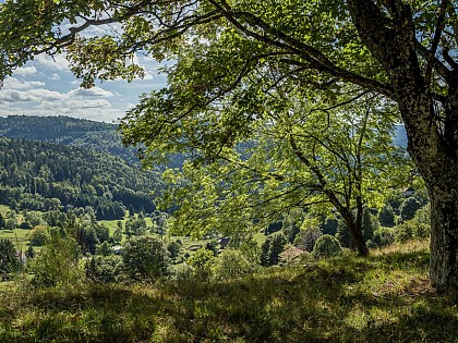 Circuit vélo route C13 : Circuit itinérant boucle depuis Molsheim par Wangenbourg, Schirmeck