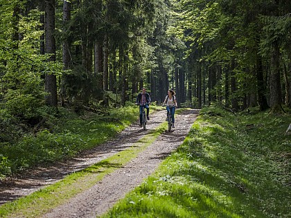 Mountain-bike circuit H12 : Between Climont and Voyemont