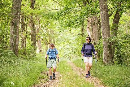 Les trois forêts - 35 km