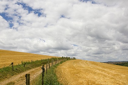 The Crests Trail