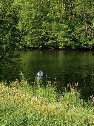 Voie verte des berges de L'isle