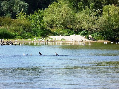 Sentier pédagogique de la Croix de Micy