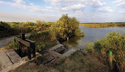 Au Teich, du Domaine de Fleury au Domaine des 4 paysans