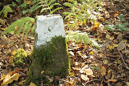 Sur les traces de la frontière hollandaise