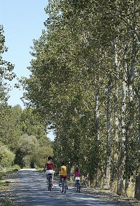 Boucle Milcendeau - Soullans