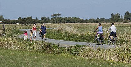 Sentier du grand marais - Soullans