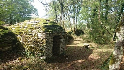 Boucle des Orchidées