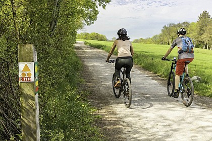Mountain biking: Route n°6 La traversée du Plateau de Gavot