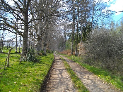 Hautefeuille Track - 12 km