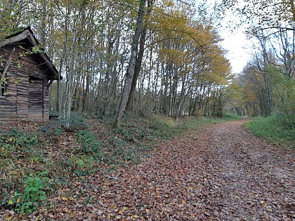 Bois de Fougemagne - Vallées Solnan et Sevron (VTT)