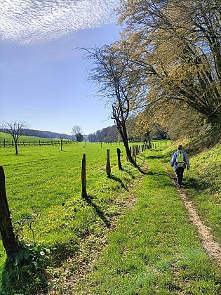 Boucle de Pierre Auguste Renoir