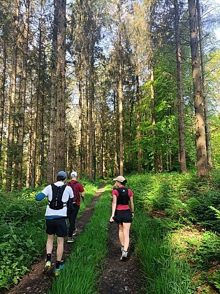 Boucle de Grand Bois