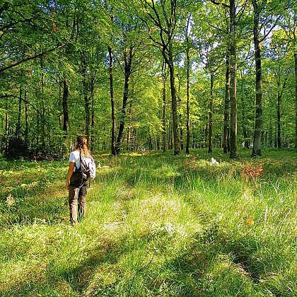 Boucle de Gratte-Panche