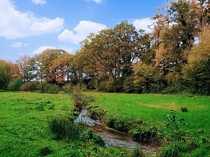 FOUGEROLLES-DU-PLESSIS - RANDONNÉE - CIRCUIT DE CLAIRE FONTAINE - N° 9