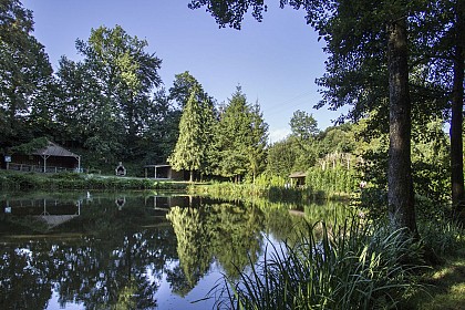 COLOMBIERS-DU-PLESSIS - RANDONNÉE - CIRCUIT LA PETITE SÉVINIÈRE - N°13