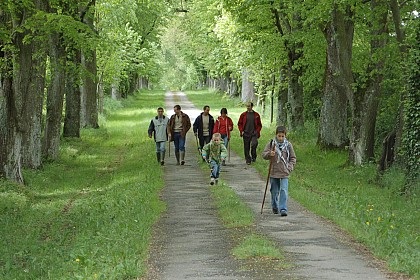 BOUCLE MULTI-RANDONNÉES N°03 - SECTEUR SAULGES, CHAMMES, ST JEAN SUR ERVE, ST PIERRE SUR ERVE ET THORIGNÉ