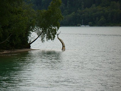 Sentier "La Sirène Egarée"