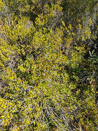 Alternative à la piste habituelle du côté de Grangeneuve