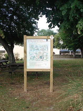 Sentier d'interprétation du vignoble de l'Aubance "La vigne au fil du temps"