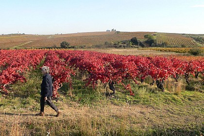 OENORANDO® DES COTEAUX DE SAINT-CHRISTOL - LABELLISÉ FFRANDONNÉE®