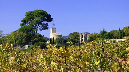 OENORANDO® DE CASTELBARRY - ENTRE VIGNES ET OLIVIERS