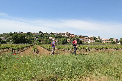 OENORANDO® LA THONGUE ET SES COTEAUX