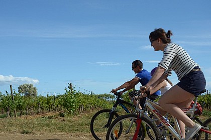 CIRCUIT LE TOUR DES VIGNOBLES- ESPACE VTT-FFC BÉZIERS MÉDTERRANÉE