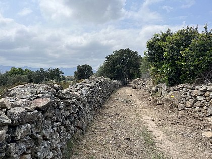 Marche nordique 11 : Traversée Gare San Gavino - L'Ile-Rousse