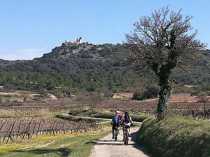 CIRCUIT  LE CASTELLAS D'AUMELAS - ESPACE VTT-FFC VALLÉE DE L'HÉRAULT