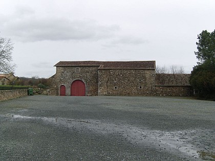 Escapade Forestière
