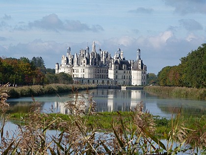 Circuit pédestre bleu de Chambord