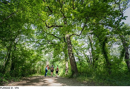 Sentier sur l'Islon Saint Luc