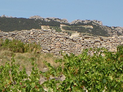 V05 Beaumes et le Plateau des Courens