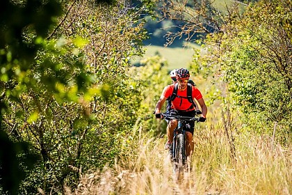 La Forêt de Bonnefontaine - 3B