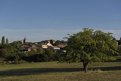 Davézieux trail bleu