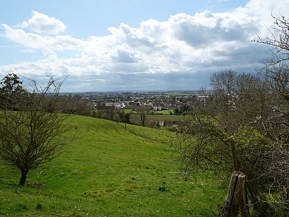 Les côteaux de la Muance