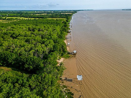 Chemin d'Amadour : étape 4 de Pauillac à Cussac-fort-Médoc