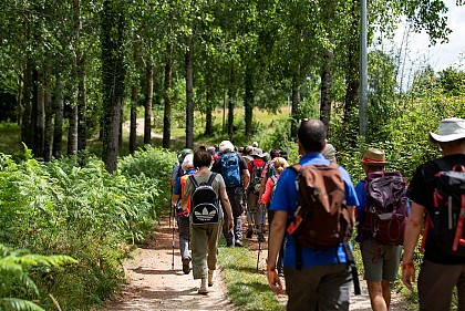 Chemin d'Amadour : étape 7 de Bordeaux à Créon