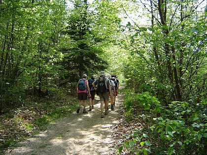 CERNAY : La boucle Saint-Aubin - 10KM