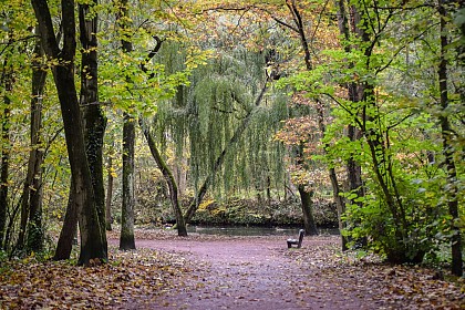 Parcours du parc du Biez