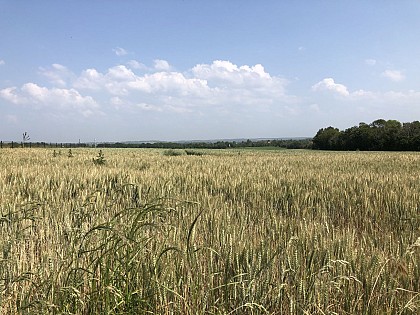 Boucle vélo autour du canal