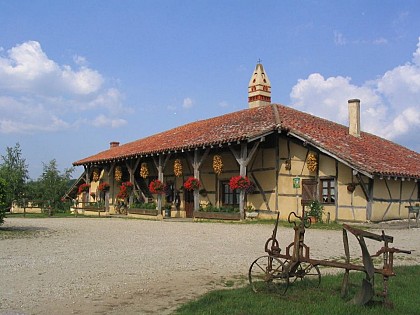 St Trivier de Courtes and the Saracen chimneys